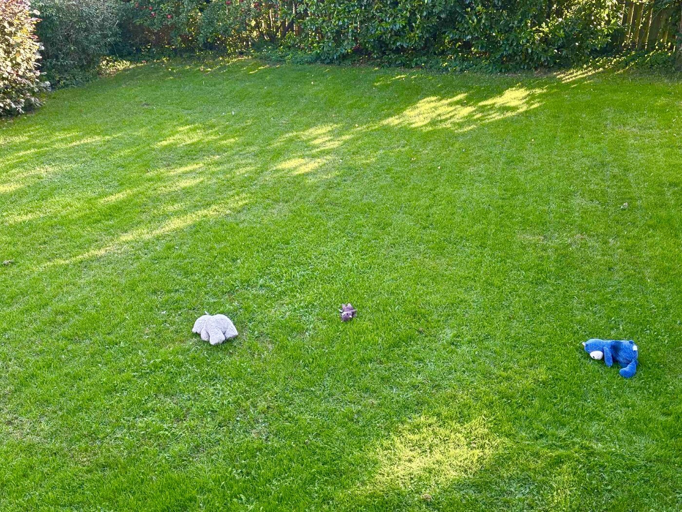 Tæt, grøn plæne med legetøj efter klipning